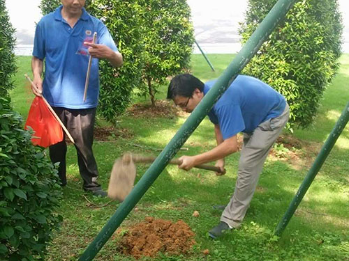 迎宾馆白蚁防治工程