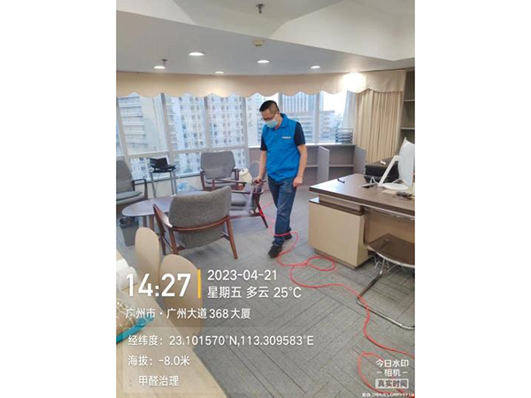 除甲醛案例